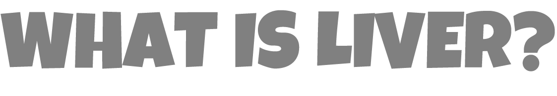 ライバーとは?の説明